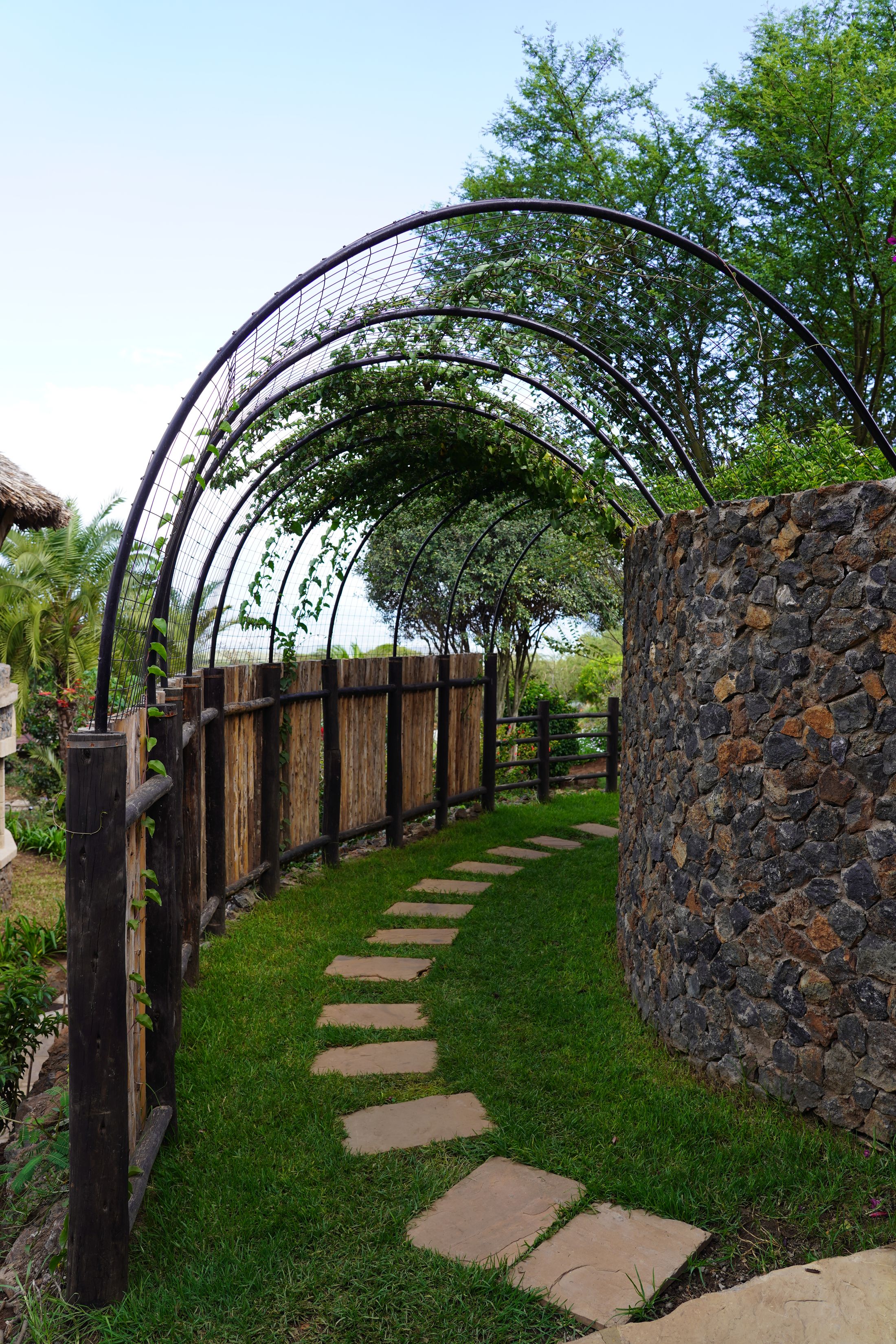 An iron trellis tunnel, its vines still growing in, arching over a stepping-stone path in grass — a log-rail fence on one side, a curved dry-stone wall on the other.