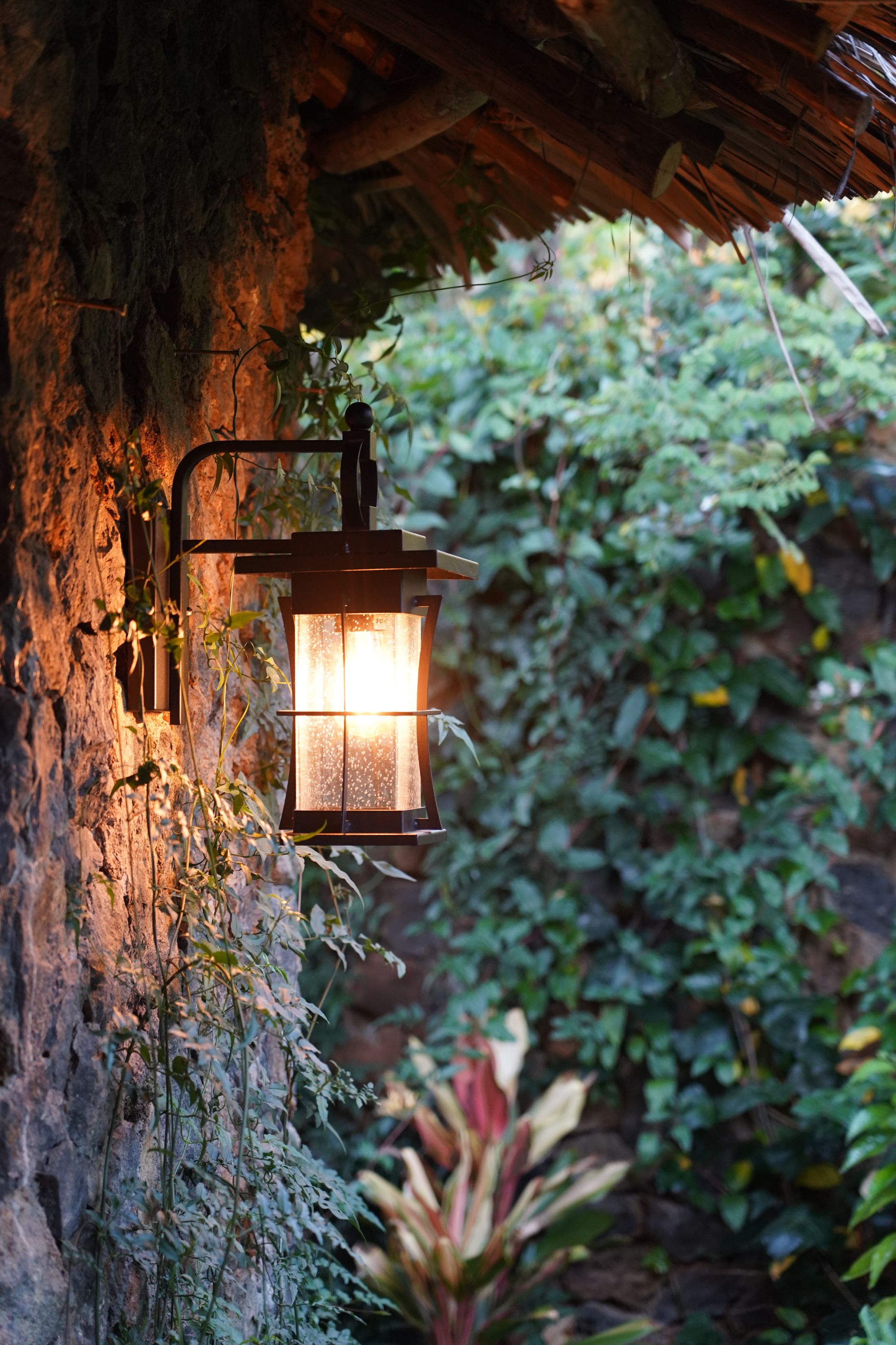 A seeded-glass lantern lit on a stone wall under the thatch eave, jasmine climbing beside it at dusk.