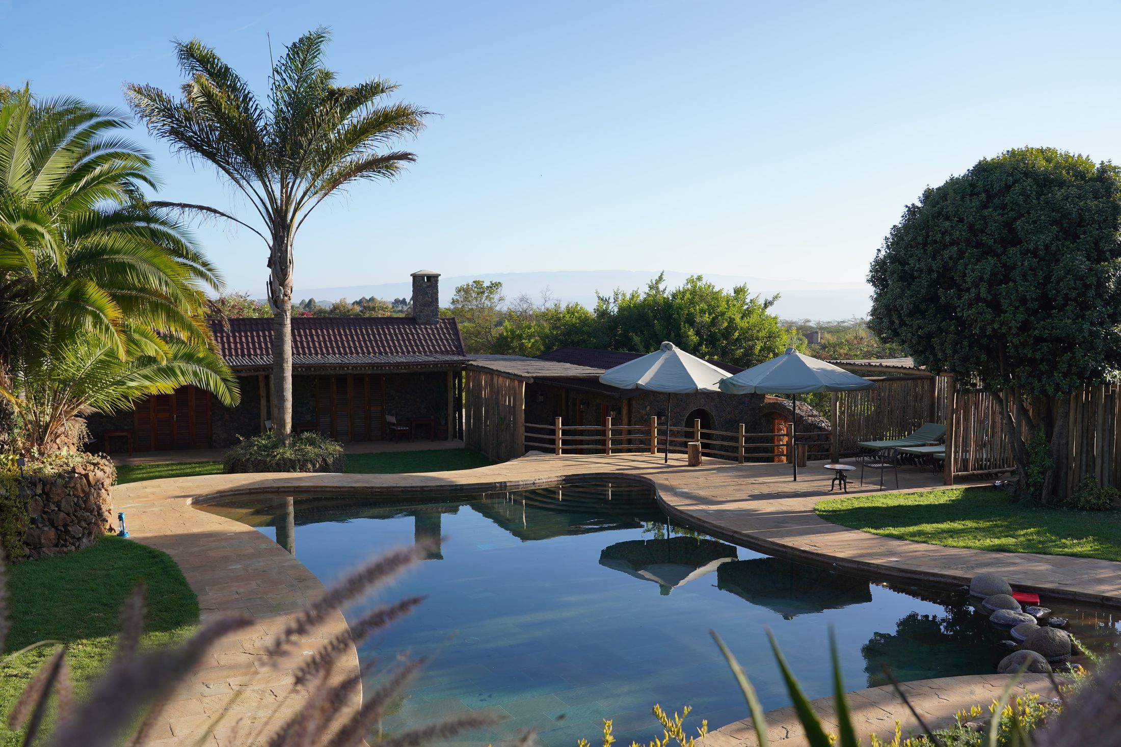 The free-form pool at dawn — a tall palm and the stone pool house with its chimney, umbrellas open on the deck, the Rift escarpment hazy beyond.