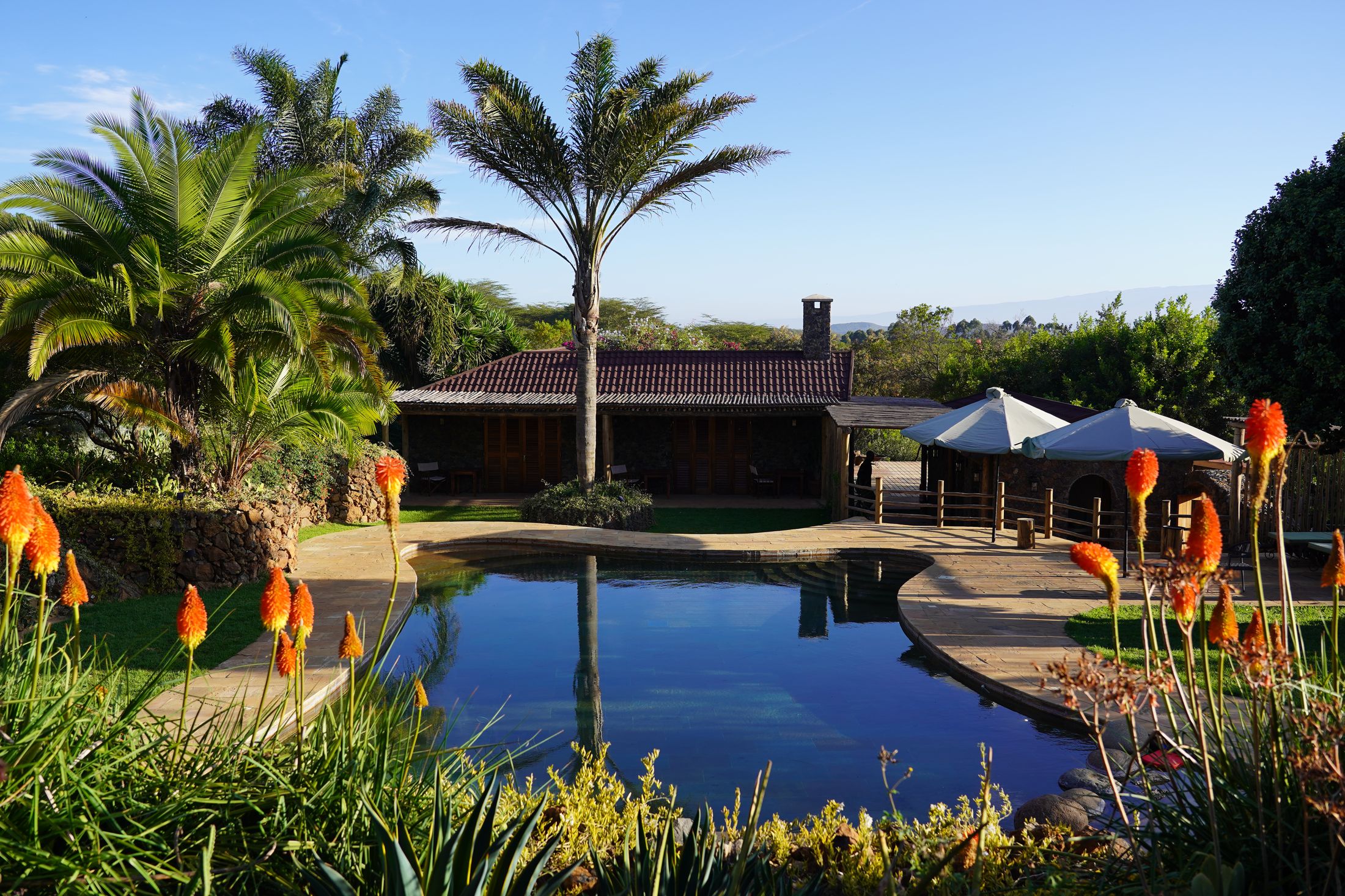 The free-form pool framed by red-hot poker flowers and palms, umbrellas and the stone pool house on the far side under a blue sky.