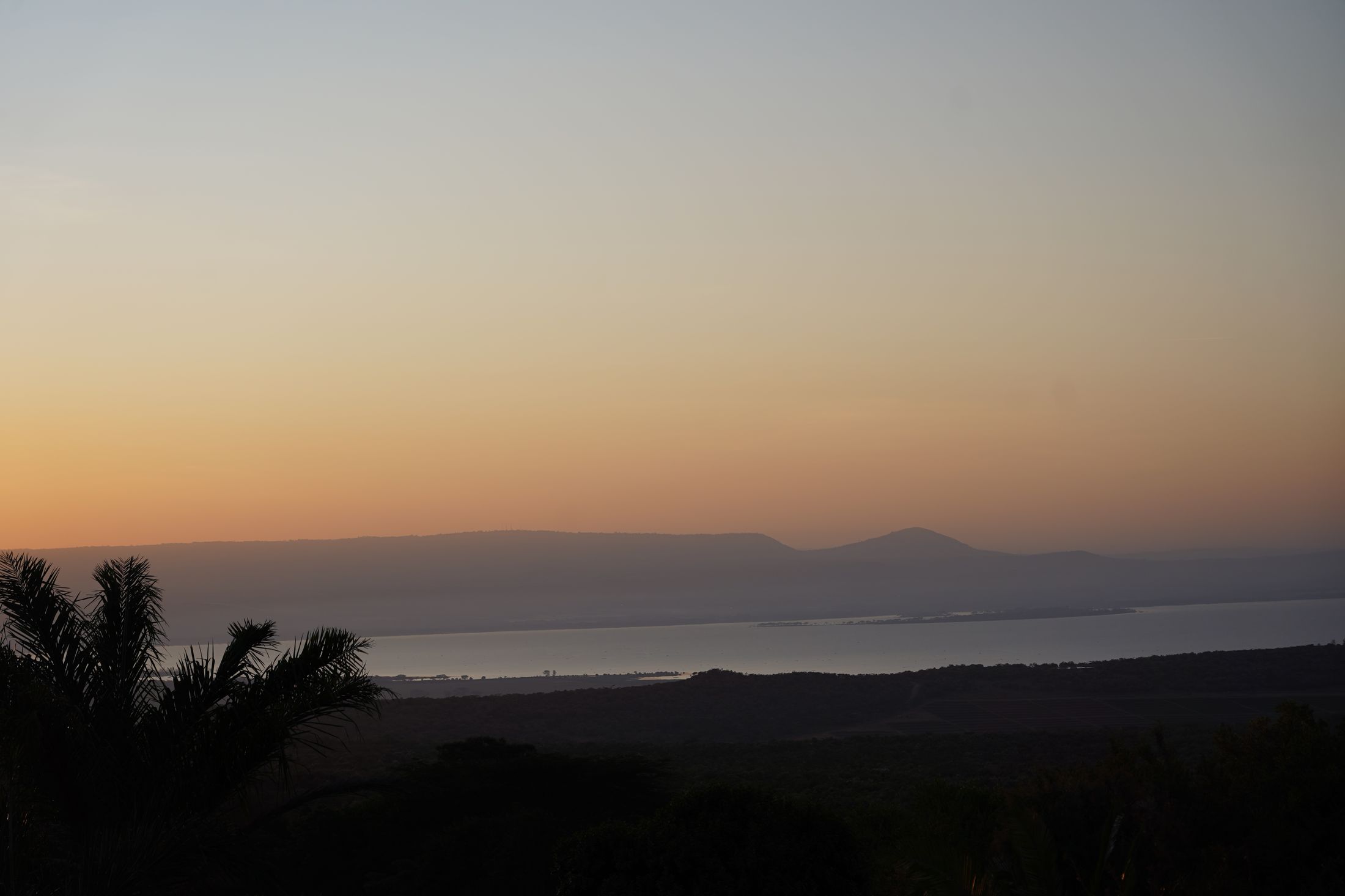 Dusk over Lake Naivasha from the estate — the lake and its shoreline below, hills in amber haze, palms dark in the foreground.