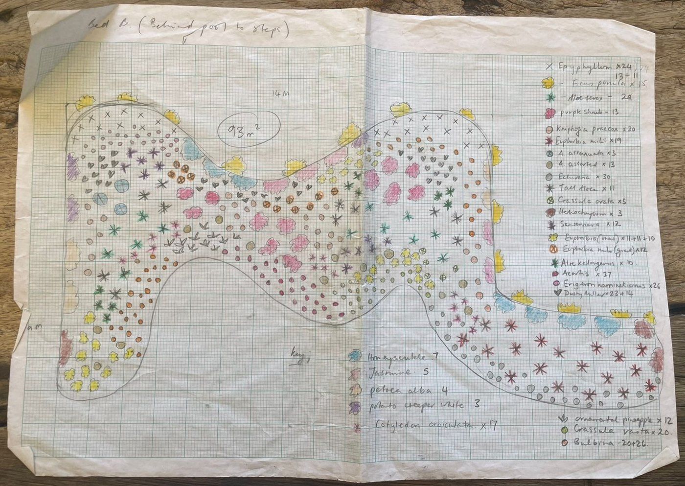 A hand-drawn planting plan on graph paper for Bed B, a free-form bed marked 93 square metres, filled with coloured pencil symbols for individual plants and a handwritten key counting every species.