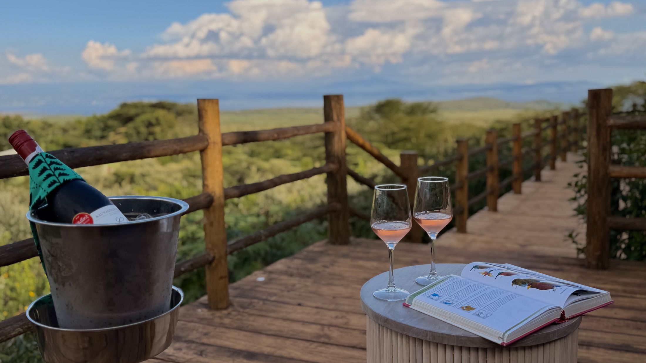 Two glasses of rosé and an open bird guide on a fluted drum table at the deck rail, the Rift Valley hazy beyond.