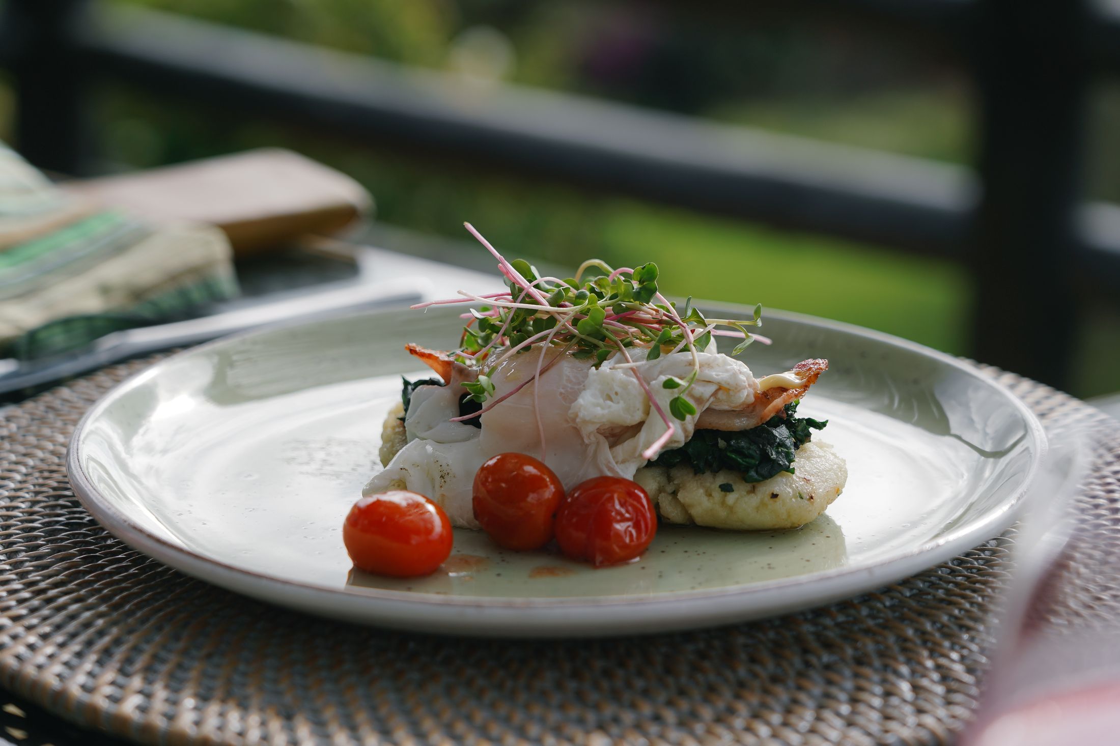 A benedict plate on the breakfast terrace — roast cherry tomatoes and microgreens, the garden soft behind.