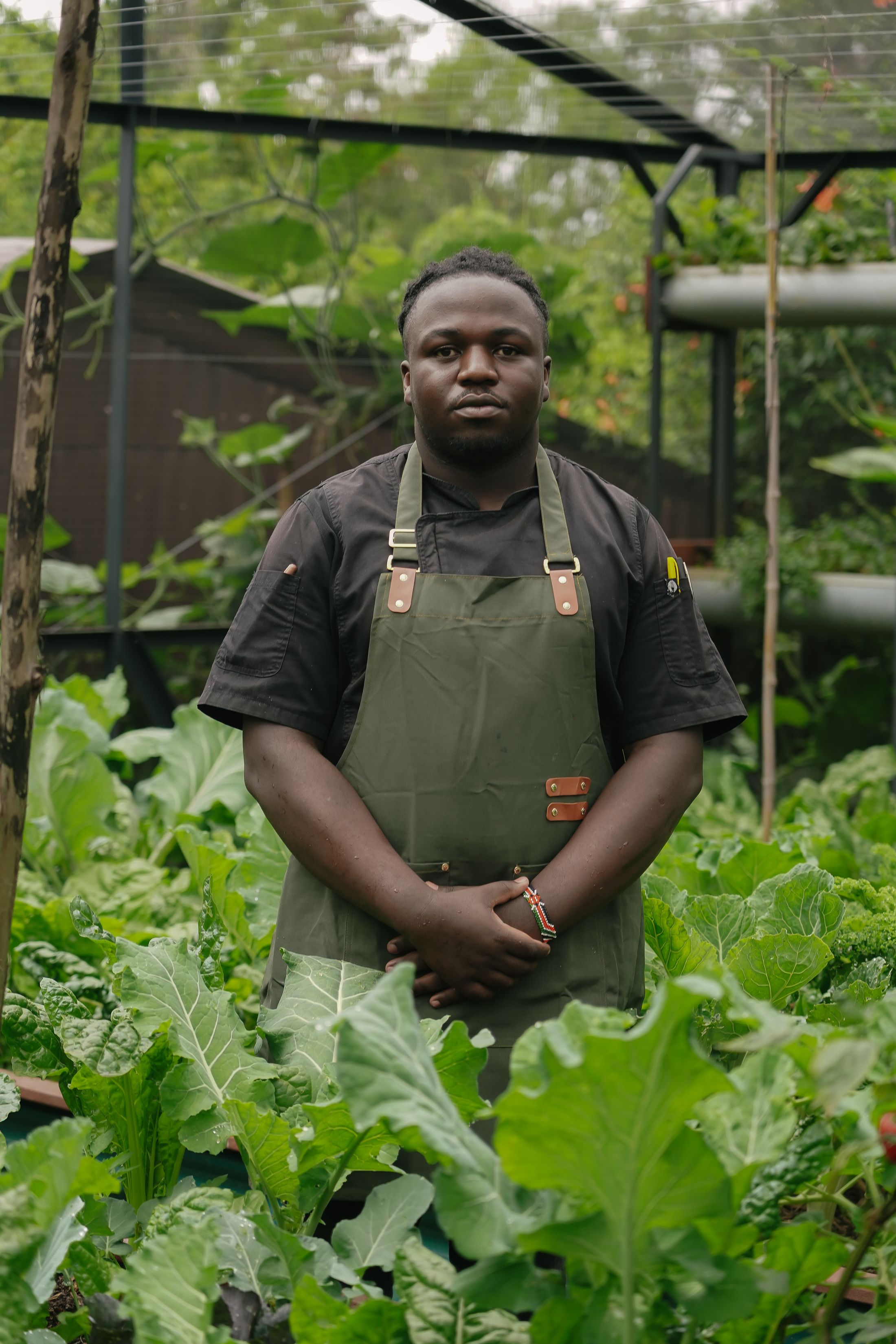 A chef standing among the kale beds of the shade-netted kitchen garden, hands clasped, looking straight at the camera.