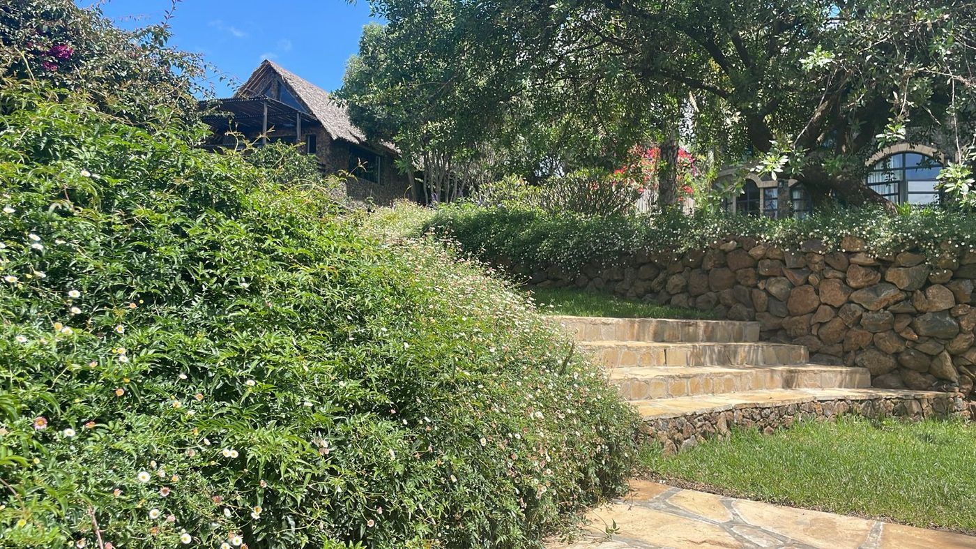 Sandstone steps rising through a dry-stone retaining wall, drifts of white daisies spilling over the terrace above, thatched roofs among the trees behind.