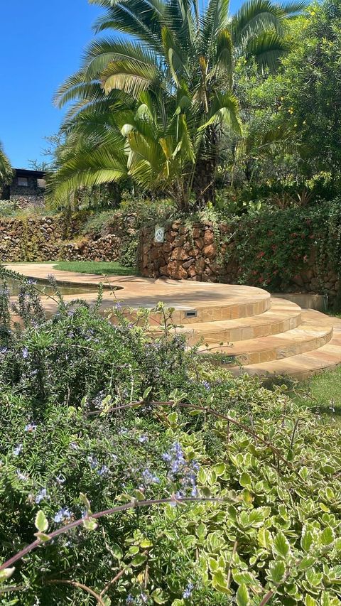 Sweeping curved sandstone steps rising to the pool terrace, flowering rosemary in the foreground, palms and a lava-stone wall beyond.